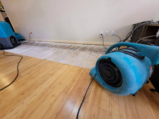 Professional Sewage Cleanup technician working in Georgetown, IN